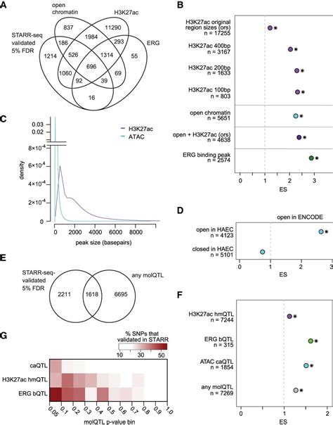 Functional Noncoding SNPs In Human Endothelial Cells Fine Map Vascular