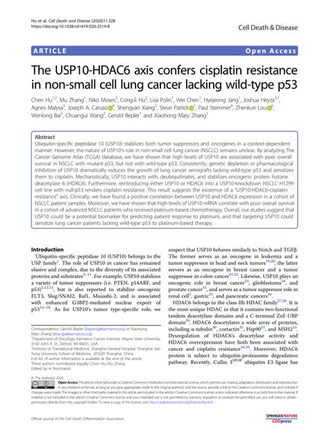 Pdf The Usp10 Hdac6 Axis Confers Cisplatin Resistance In Non Small