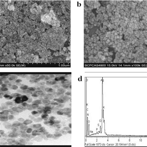 A Sem Micrograph At 1 μm B Sem Micrograph At 500 Nm C Tem Download Scientific Diagram