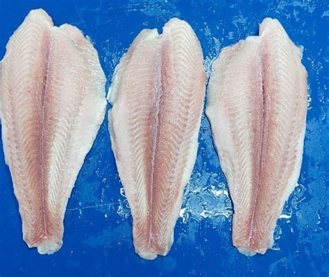 Pangasius Fillet Semi Trimmed Frozen Food Co