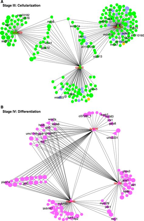 Figure From High Temporal Resolution Transcriptome Landscape Of Early