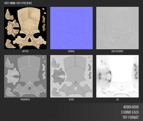 3d Sculpted Human Skull Model Turbosquid 1325988