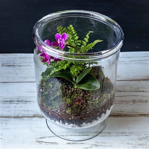 Fairy Garden Terrarium: Using Living Moss to Make a Sweet Gift | Hearth ...