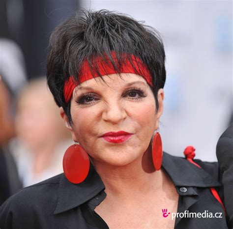 Liza Minnelli Hairstyle Easyhairstyler