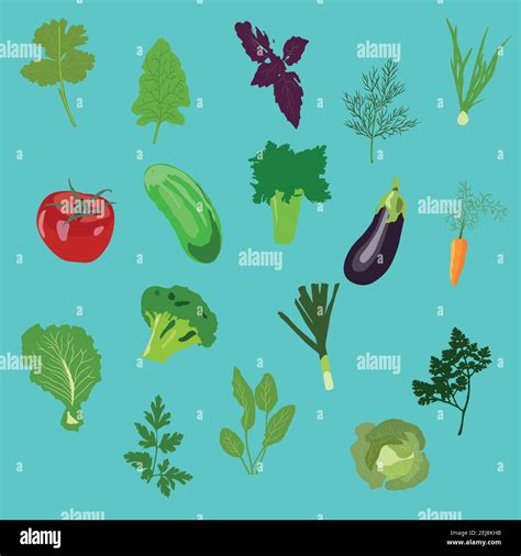 Iconos vegetales conjunto plano Ilustración vectorial aislada Fondo