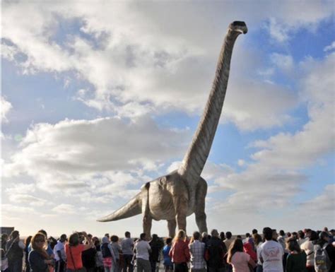 Verdens største dinosaurus får T rex til at ligne en dværg