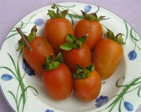 Persimmon Varieties