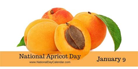 NATIONAL APRICOT DAY - January 9 | National day calendar, Apricot, National