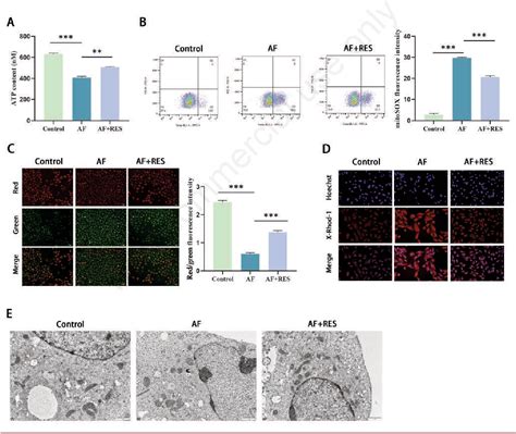 Figure From Resveratrol Mediates Mitochondrial Function Through The