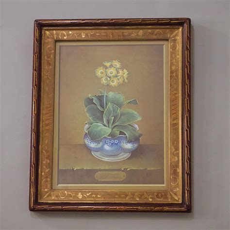 Jose Escofet Still Prints Life Of Potted Plants At 1stDibs