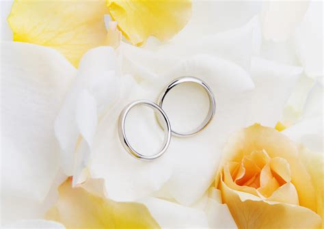 Fondos de pantalla blanco fotografía Anillos amarillo Rosa plata