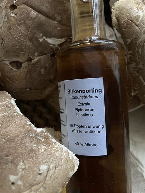 Birkenporling Gesundheit aus dem Wald Freunde des Wilden Jäger