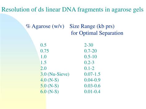 Ppt Agarose Gel Electrophoresis Powerpoint Presentation Free