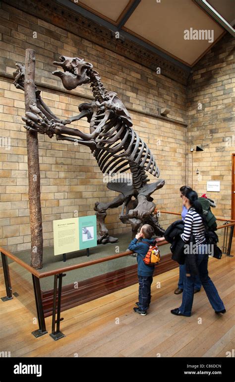 Giant Human Skeleton Museum