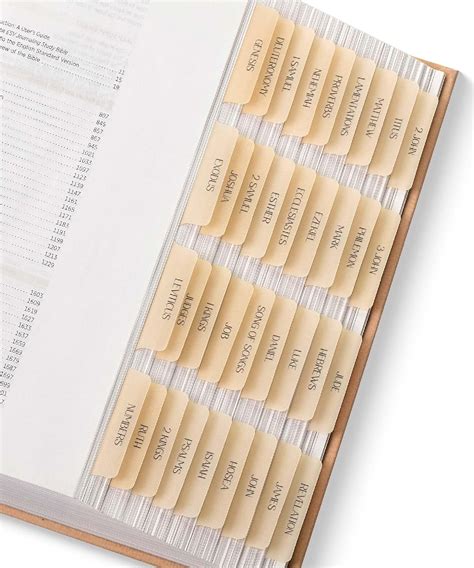 Amazon Mr Pen Bible Tabs Tabs Transparent Cappuccino