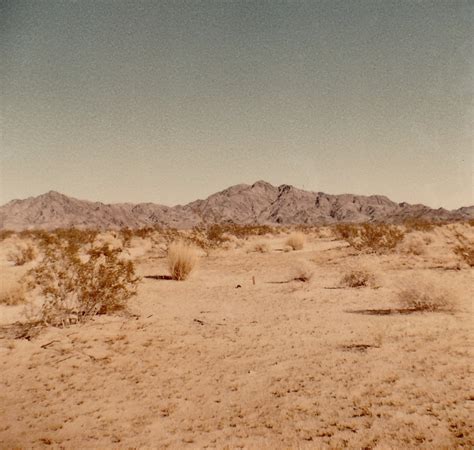 The Yuma Desert