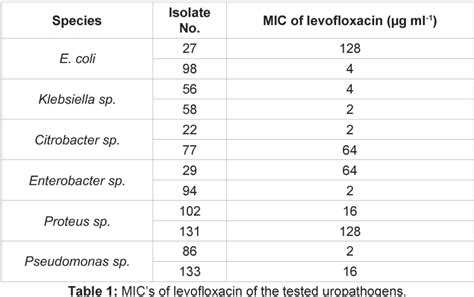 Table From Effect Of Levofloxacin And Vitamin C On Bacterial