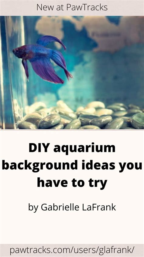 DIY Aquarium Background Ideas You Have To Try Unique Fish Tanks Cool