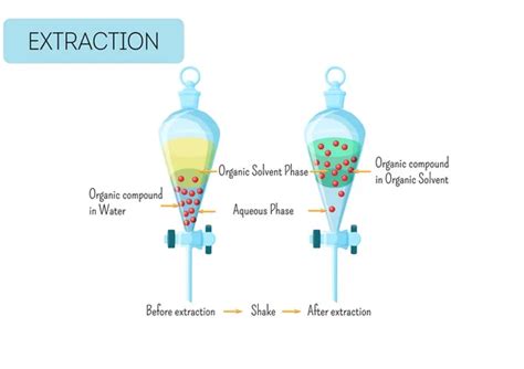 Extracci N Qu Mica Del Compuesto Org Nico De La Soluci N De Agua Al