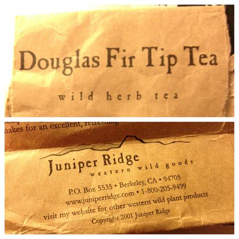 Douglas Fir Tip Tea Lemony Piney Delicious Douglas Fir Western Wild Wild Plants