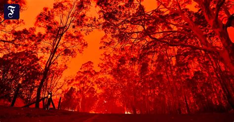 Waldbr Nde In Australien Weitere Tote Und Vermisste Bef Rchtet