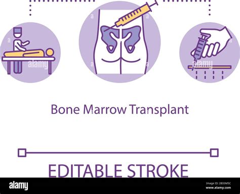 Bone Marrow Transplant Concept Icon Cancer Treatment Idea Thin Line