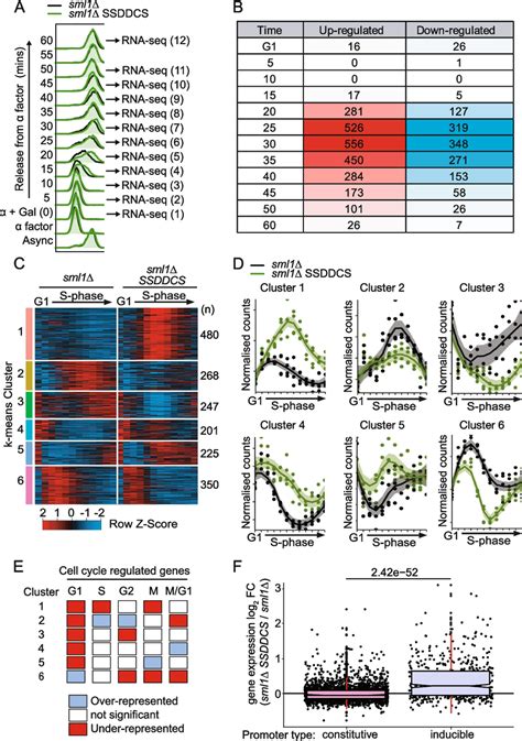 Global Early Replication Perturbs The Expression Of 27 Of Genes In One