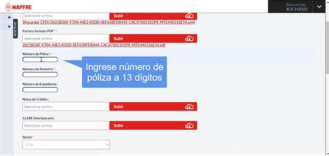 Carga De Tr Mite En Ventanilla Nica De Mapfre Seguros Soporte Reachcore