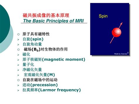 Ppt Mri The Basic Principles And Clinical Application Of