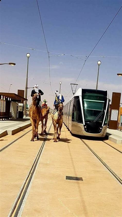 Publication de Le Grand Sud Algérien Arrêt sur images Ouargla fête son