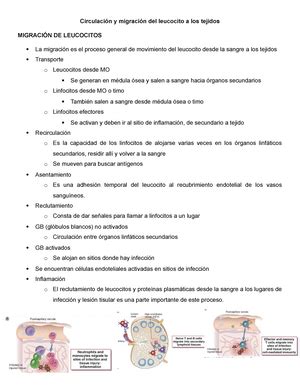 Resumen del Capítulo 2 Inmunología Abbas células y tejidos del sistema