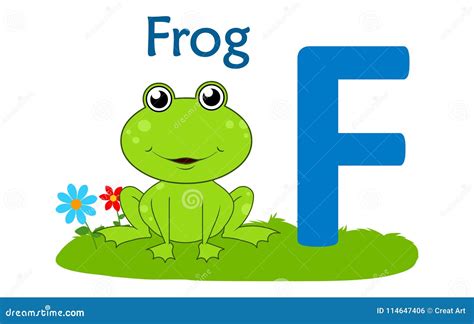 Animal Alphabet Ff For Frog Stock Vector Illustration Of Background