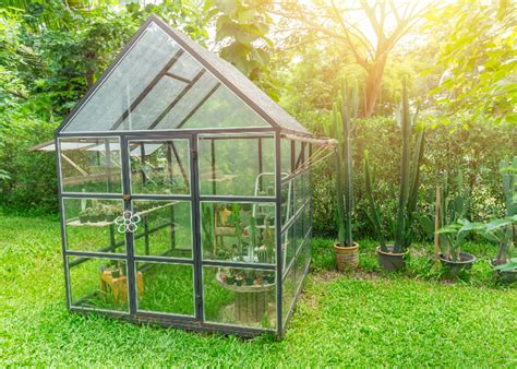 Essential Tips For Greenhouse Gardening Success