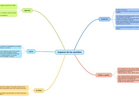 Rganos De Los Sentidos Mind Map