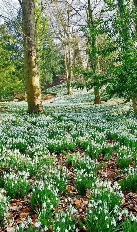 Pin di konsmal su Ваши пины Paesaggi Meraviglie naturali Giardino