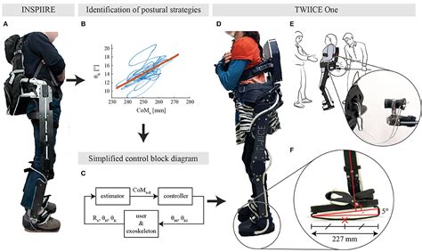 Frontiers Bioinspired Postural Controllers For A Locked Ankle