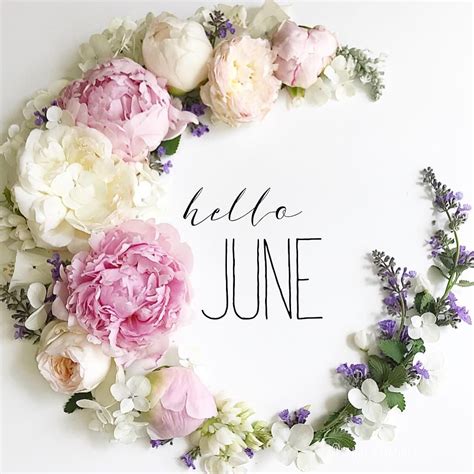 Flowers Arranged Around The Word Hello June