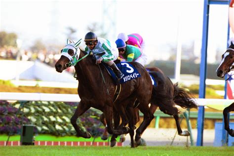 メジロベイリー老衰のため死す、24歳 00年最優秀3歳牡馬、jraに50頭以上の産駒 競馬写真ニュース 日刊スポーツ