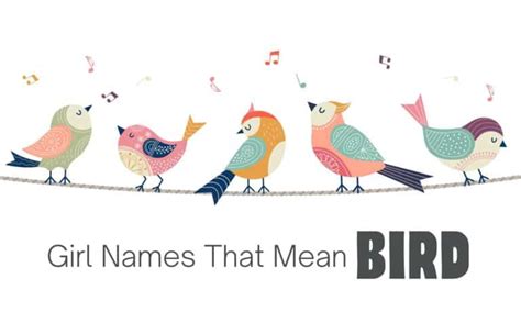 Girl Names That Mean Bird | MomsWhoThink.com