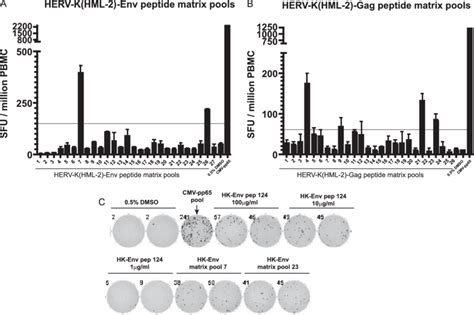 T Cell Responses Can Be Mapped Using Matrix Pools Of Herv K Hml