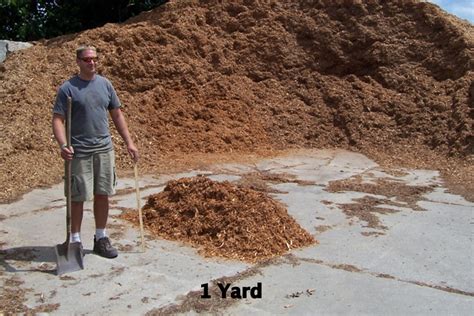 Yard Of Soil