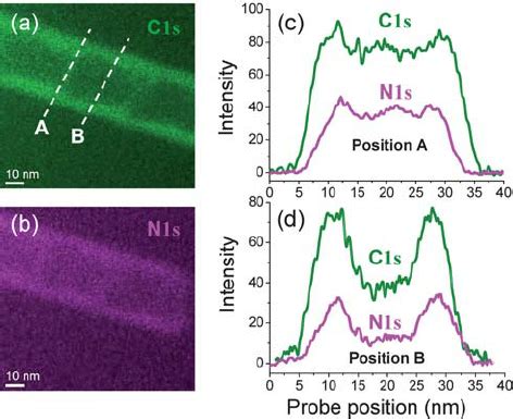 A B Energy Filtered Tem Images Of Im For C S And N S Eels