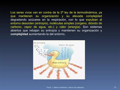 El Medio Ambiente Y La Teor A De Sistemas Ppt