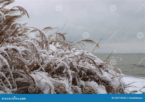 Beautiful of Lake Balaton at Winter Stock Photo - Image of hungary ...