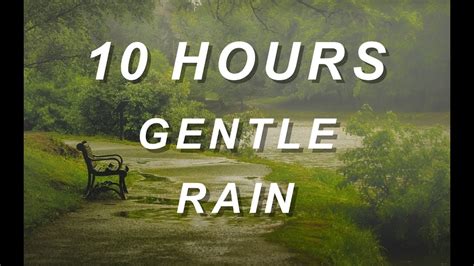 Gentle Rain - Relaxing Nature Sounds 10 Hours - YouTube