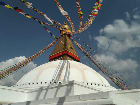 bunting      bunting stock  hd images