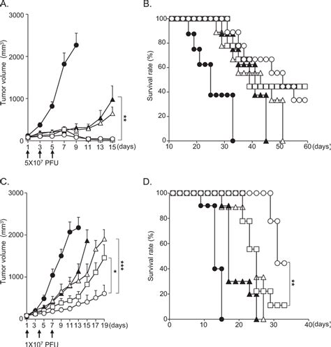 Antitumor Effects And Survival Rates In B16 F10 Tumor Bearing Mice A C