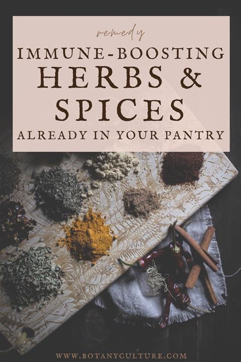 Powerful Immune Boosting Herbs Spices Already In Your Kitchen Artofit