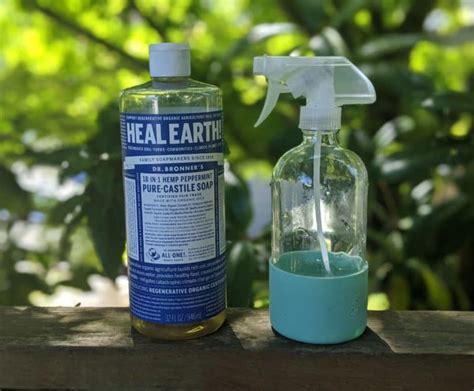 Homemade Insecticidal Soap Recipe With Dr. Bronner's