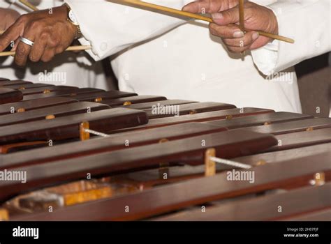 Primer Plano De Un Teclado Marimba O Hormigo Guatemala Instrumento